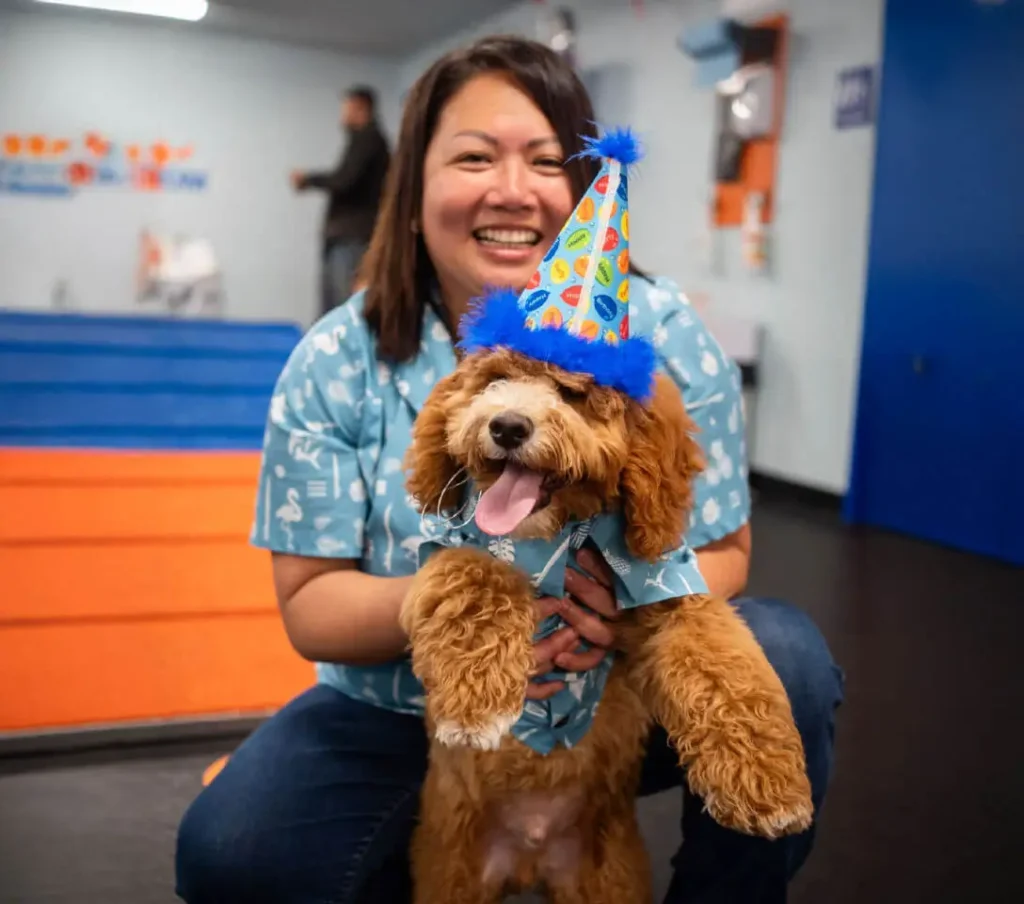 A playful dog in a blue party hat and shirt is joyfully held by a person in a colorful shirt, surrounded by a festive indoor setting.