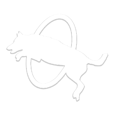 Zoom Room Dog Training